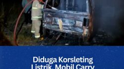 Diduga Korsleting Listrik, Mobil Carry Terbakar di Lintas Barat Bintan