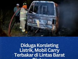 Diduga Korsleting Listrik, Mobil Carry Terbakar di Lintas Barat Bintan