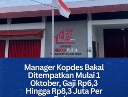 Manager Kopdes Bakal Ditempatkan Mulai 1 Oktober, Gaji Rp6,3 Hingga Rp8,3 Juta Per Bulan