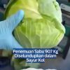 Penemuan Sabu 907 Kg Diselundupkan dalam Sayur Kol
