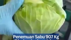 Penemuan Sabu 907 Kg Diselundupkan dalam Sayur Kol