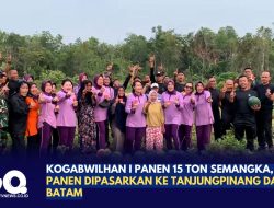Kogabwilhan I Panen 15 Ton Semangka, Hasil Panen Dipasarkan ke Tanjungpinang dan Batam