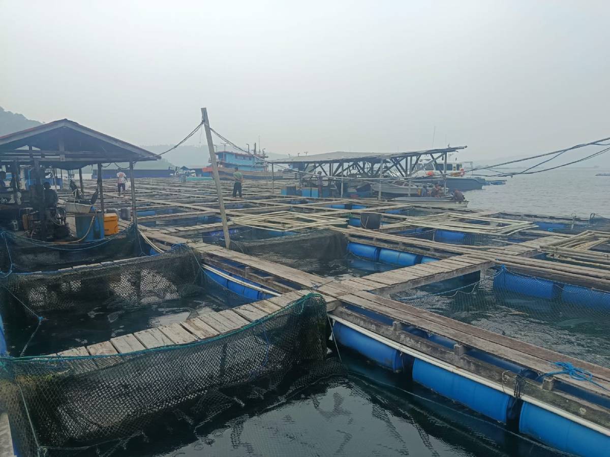 Penjaga Keramba di Anambas Dibacok Dua Pria Bermasker, Polisi Buru Pelaku.