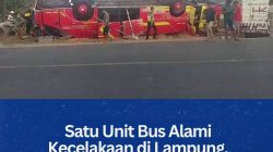 Satu Unit Bus Alami Kecelakaan di Lampung, 3 Korban Meninggal Dunia
