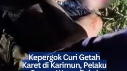 Kepergok Curi Getah Karet di Karimun, Pelaku Serang Warga Pakai Gunting Saat Hendak Ditangkap