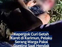 Kepergok Curi Getah Karet di Karimun, Pelaku Serang Warga Pakai Gunting Saat Hendak Ditangkap