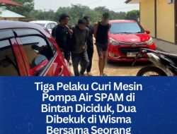 Tiga Pelaku Curi Mesin Pompa Air SPAM di Bintan Diciduk, Dua Dibekuk di Wisma Bersama Seorang Wanita