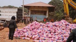 29 Ton Bawang Putih Asal Cina Dimusnahkan Karantina Kepri, Seluruh Muatan Ditemukan Rusak