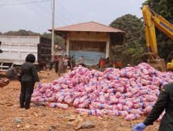 29 Ton Bawang Putih Asal Cina Dimusnahkan Karantina Kepri, Seluruh Muatan Ditemukan Rusak