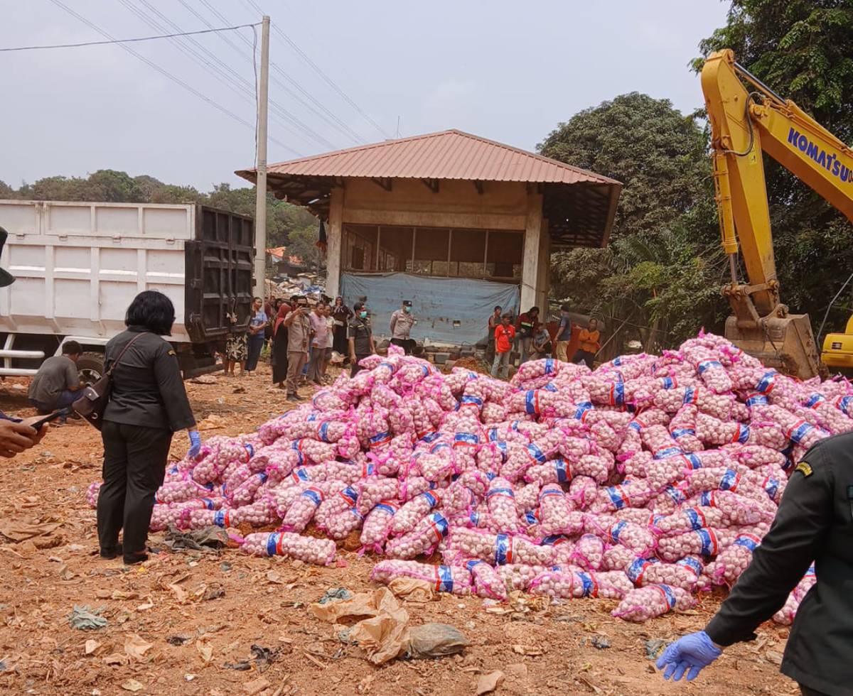 29 Ton Bawang Putih Asal Cina Dimusnahkan Karantina Kepri, Seluruh Muatan Ditemukan Rusak.