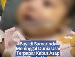 Bayi di Samarinda Meninggal Dunia Usai Terpapar Kabut Asap Karhutla‎