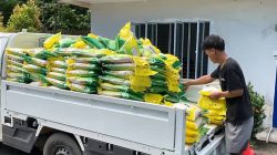Perum Bulog Catat Rekor Terbanyak Pengadaan Beras Nasional Capai 4,11 Juta Ton Hingga Oktober 2026