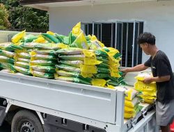 Perum Bulog Catat Rekor Terbanyak Pengadaan Beras Nasional Capai 4,11 Juta Ton Hingga Oktober 2026