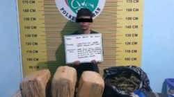 Dua Kurir Ganja Ditangkap di Pasaman Sumbar, 23 Kg Disita