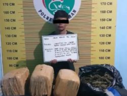 Dua Kurir Ganja Ditangkap di Pasaman Sumbar, 23 Kg Disita