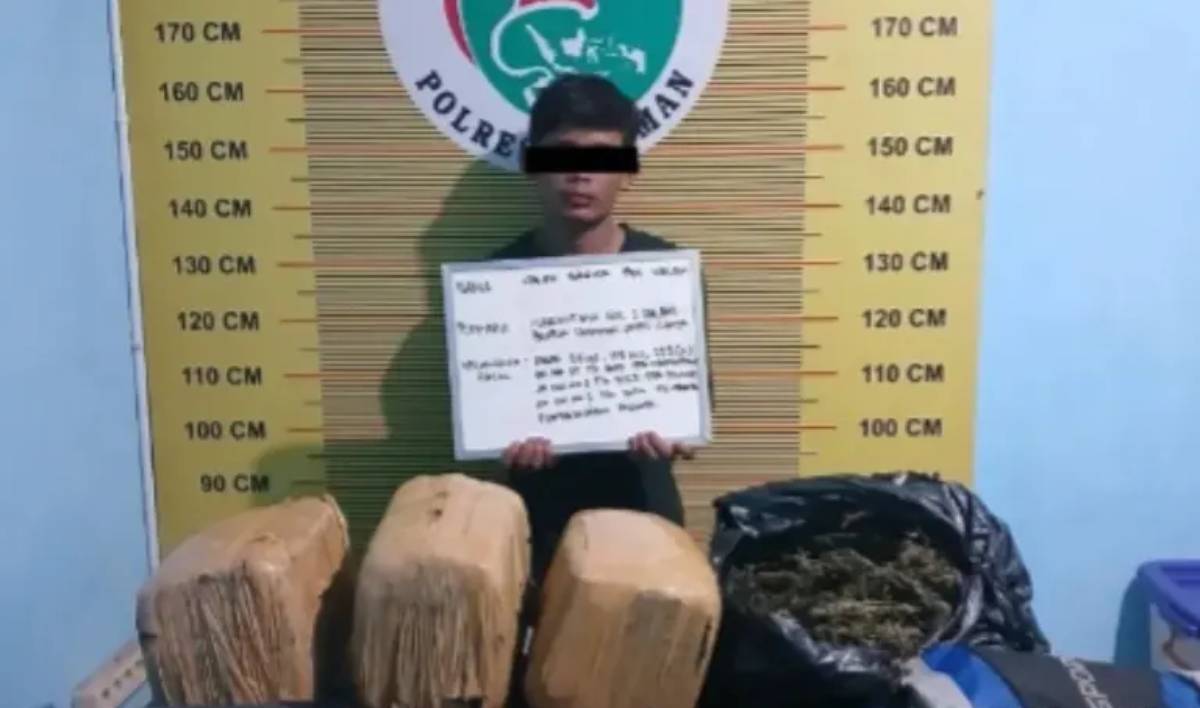 Dua Kurir Ganja Ditangkap di Pasaman Sumbar, 23 Kg Disita..