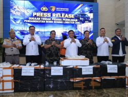 Dua Pelaku Penyeludupan Baby Lobster Lintas Negara Ditangkap Dittipidter Bareskrim Polri