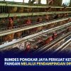 BUMDes Pongkar Jaya Perkuat Ketahanan Pangan Melalui Pendampingan Dinas PMD