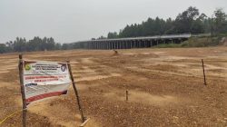 Kasus Penimbunan 1,8 Hektare Mangrove di Dompak Naik ke Penyidikan, Kejari Bidik Tersangka‎
