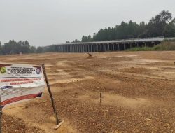 Kasus Penimbunan 1,8 Hektare Mangrove di Dompak Naik ke Penyidikan, Kejari Bidik Tersangka‎