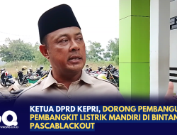 Ketua DPRD Kepri Dorong Pembangunan Pembangkit Listrik Mandiri di Bintan Pascablackout