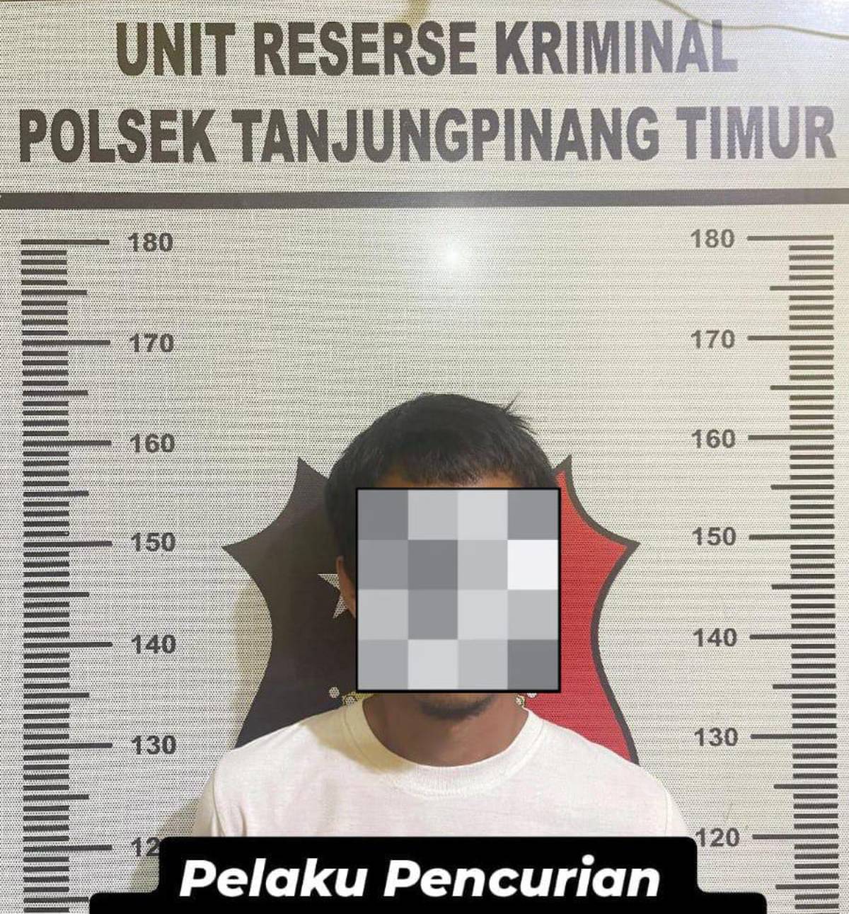 Pelarian DPO Spesialis Pencurian 17 TKP di Tanjungpinang Berakhir, FA Ditangkap Polisi.