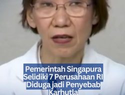 Pemerintah Singapura Selidiki 7 Perusahaan RI Diduga jadi Penyebab Karhutla
