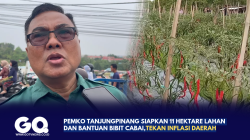 Pemko Tanjungpinang Siapkan 11 Hektare Lahan dan Bantuan Bibit Cabai,Tekan Inflasi Daerah