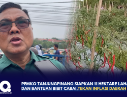 Pemko Tanjungpinang Siapkan 11 Hektare Lahan dan Bantuan Bibit Cabai,Tekan Inflasi Daerah