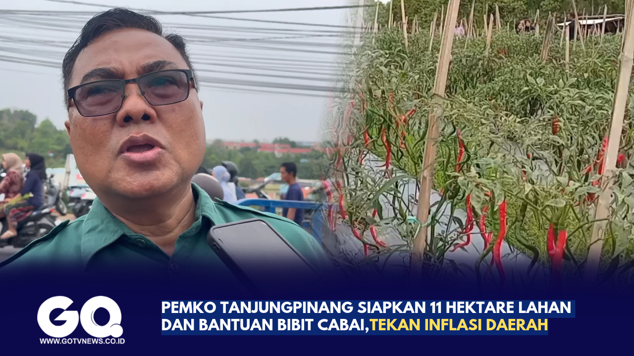 Pemko Tanjungpinang Siapkan 11 Hektare Lahan dan Bantuan Bibit Cabai,Tekan Inflasi Daerah.