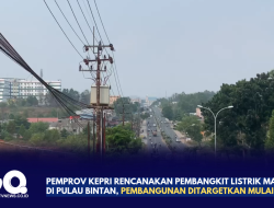 Pemprov Kepri Rencanakan Pembangkit Listrik Mandiri di Pulau Bintan, Pembangunan Ditargetkan Mulai 2027