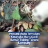 Pencari Madu Temukan Kerangka Manusia di Bawah Tebing Tahura Lampung