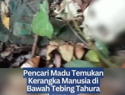 Pencari Madu Temukan Kerangka Manusia di Bawah Tebing Tahura Lampung