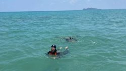 Perkuat Kesiapsiagaan di Perairan, SAR Natuna Gelar Latihan Water Rescue di Pantai Tanjung