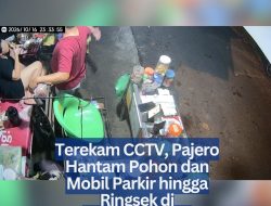 Terekam CCTV, Pajero Hantam Pohon dan Mobil Parkir hingga Ringsek di Tanjungpinang
