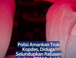 Polisi Amankan Truk Kopdes, Diduga Selundupkan Ratusan Jerigen BBM Subsidi