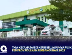 Tiga Kecamatan di Kepri Belum Punya Puskesmas, Pemprov Usulkan Pembangunan 2027