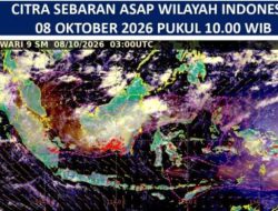 Update Kondisi Kabut Asap Tanjungpinang, Jarak Pandang Menurun 1 Kilometer