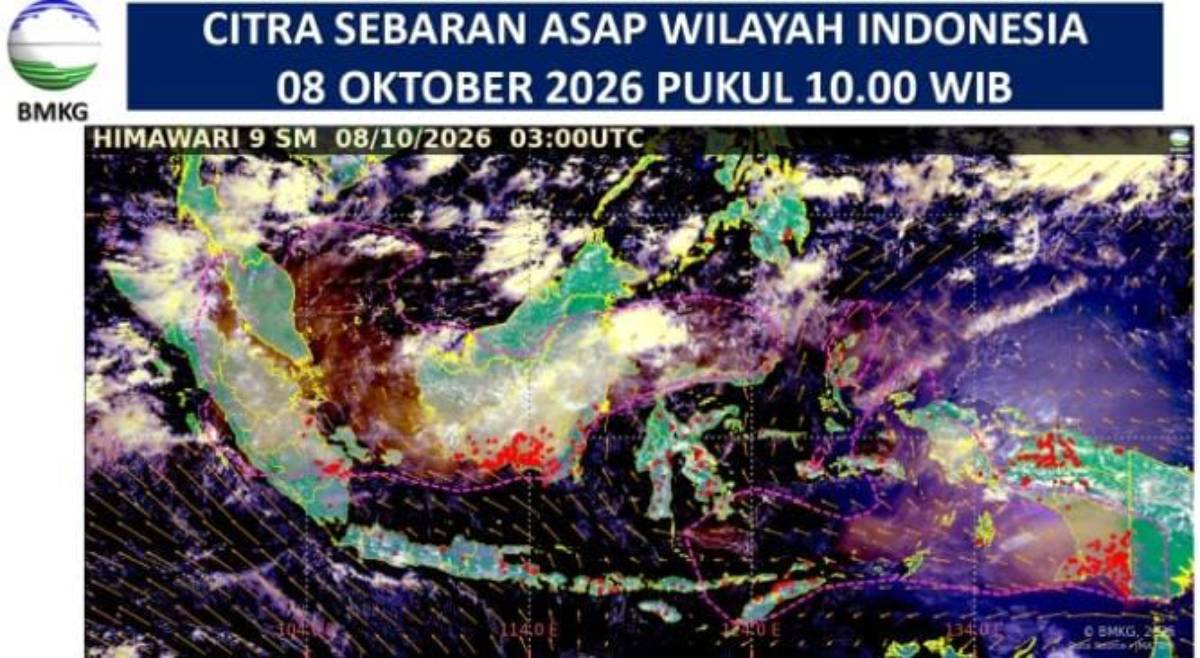 Update Kondisi Kabut Asap Tanjungpinang, Jarak Pandang Menurun 1 Kilometer.