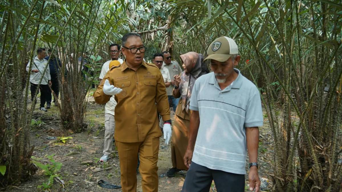 Wagub Kepri Dorong Pengembangan Salak Sari Intan Bintan untuk Perkuat Ketahanan Pangan dan Kesejahteraan Petani.