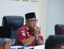 Wako Lis Tegaskan Pemadaman Bergilir di Tanjungpinang Akibat Gangguan Dua Pembangkit di Batam