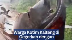 Warga Kotim Kalteng di Gegerkan dengan Temuan Serpihan Benda Misterius di Kebun Sawit‎