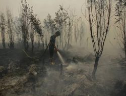 Pemerintah Gunakan Cairan Pemadam Bantuan Brasil untuk Tangani Karhutla