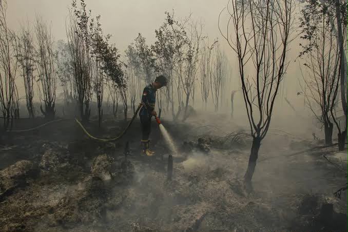 Pemerintah Gunakan Cairan Pemadam Bantuan Brasil untuk Tangani Karhutla.