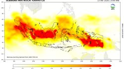 BMKG Tanjungpinang Prakirakan Kabut Asap Masih Bertahan 3 Hari ke Depan