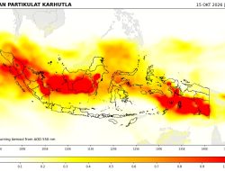 BMKG Tanjungpinang Prakirakan Kabut Asap Masih Bertahan 3 Hari ke Depan
