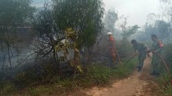 Kebakaran Lahan Kosong di Jalan Daeng Celak Tanjungpinang, Diduga Dipicu dari Pembakaran Sampah‎