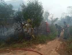 Kebakaran Lahan Kosong di Jalan Daeng Celak Tanjungpinang, Diduga Dipicu dari Pembakaran Sampah‎