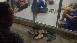 Listrik Berangsur Menyala di Bintan, Sejumlah Wilayah Masih Padam